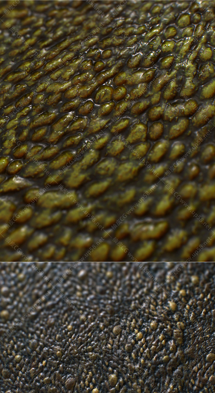 ZBrush怪物生物皮肤雕刻高细节纹理笔刷素材包+中文字幕教程