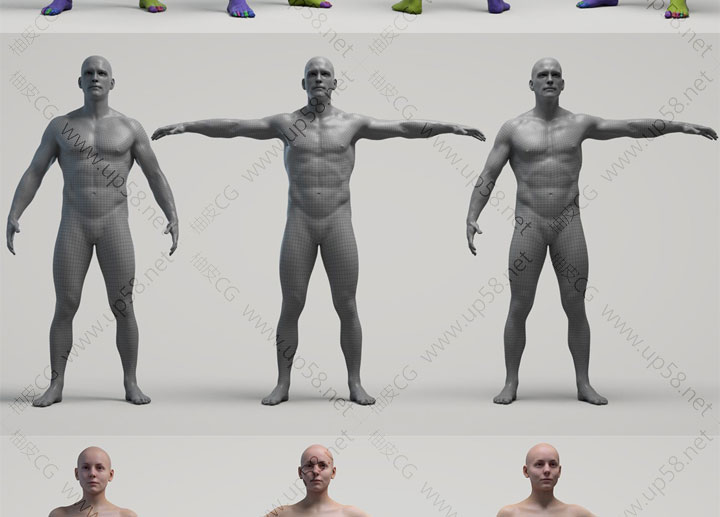 ZTL / FBX / OBJ / 男性女性人物角色雕刻精细3D模型