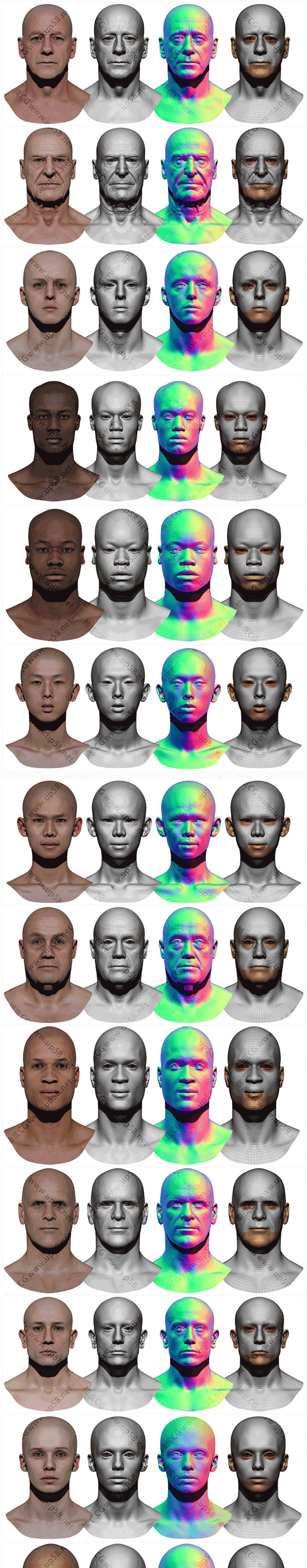 ZBrush / Marmoset男性女性头部高精度3D模型