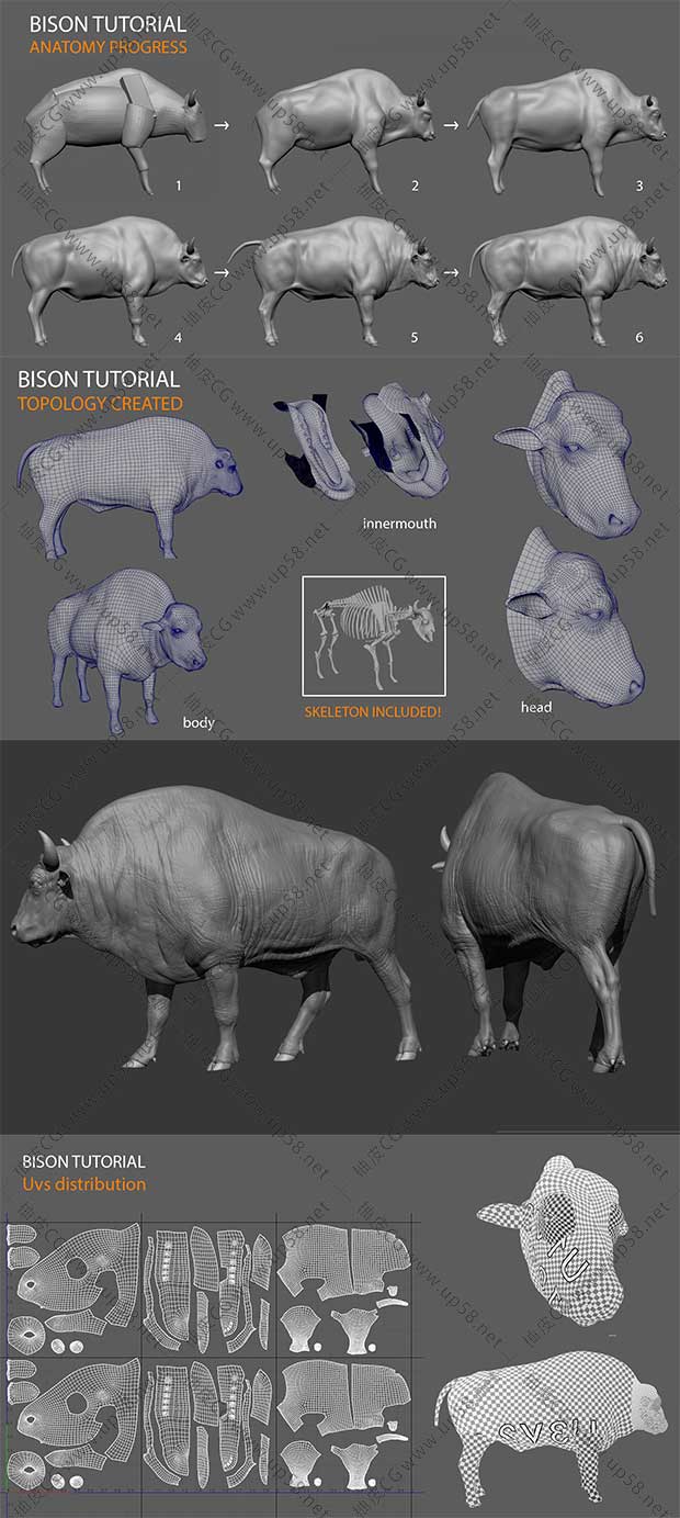 Zbrush&Maya创建野牛精细3D模型视频教程