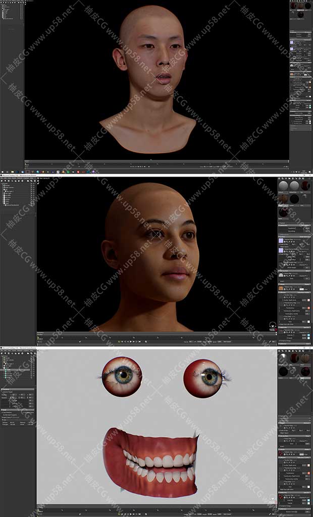 ZBrush / Marmoset男性女性头部高精度3D模型