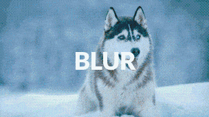 AE脚本 AE模板 旋转扭曲透视聚焦模糊翻页切割遮罩视频转场预设V3