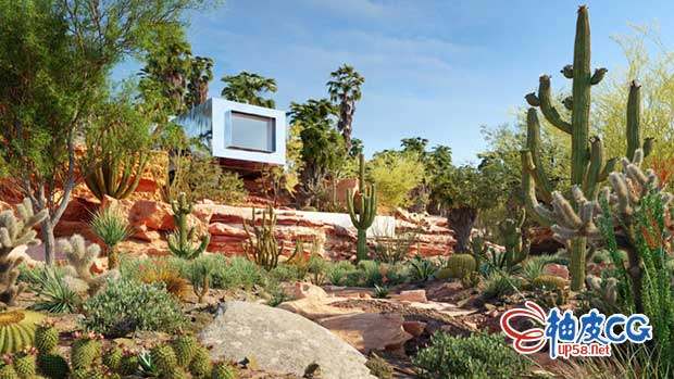 3DSMAX/VRay/Corona美洲墨西哥树木灌木多肉植物精细3D模型合集