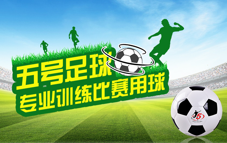 Ballon de foot - Ref 5768 Image 6