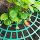 ການເຮັດສວນໃນເຮືອນ potted plant bracket ການປູກ strawberry tray rack ພືດສີຂຽວຕ້ານການພັກອາໄສພືດຫມາກໄມ້ fixed ສະຫນັບສະຫນູນ shelf