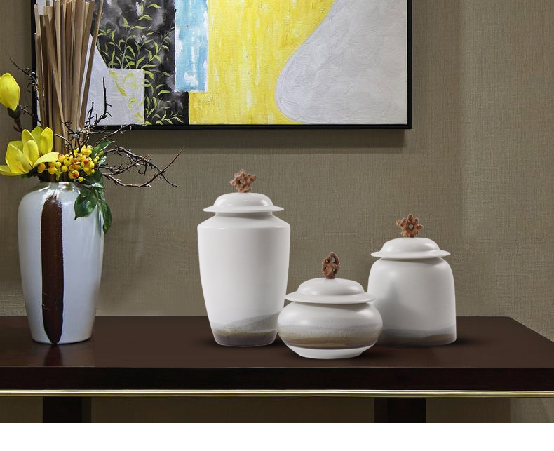 New Chinese style is contracted plain coloured pottery and porcelain of the storage tank is placed between example floor office bookcase soft decoration