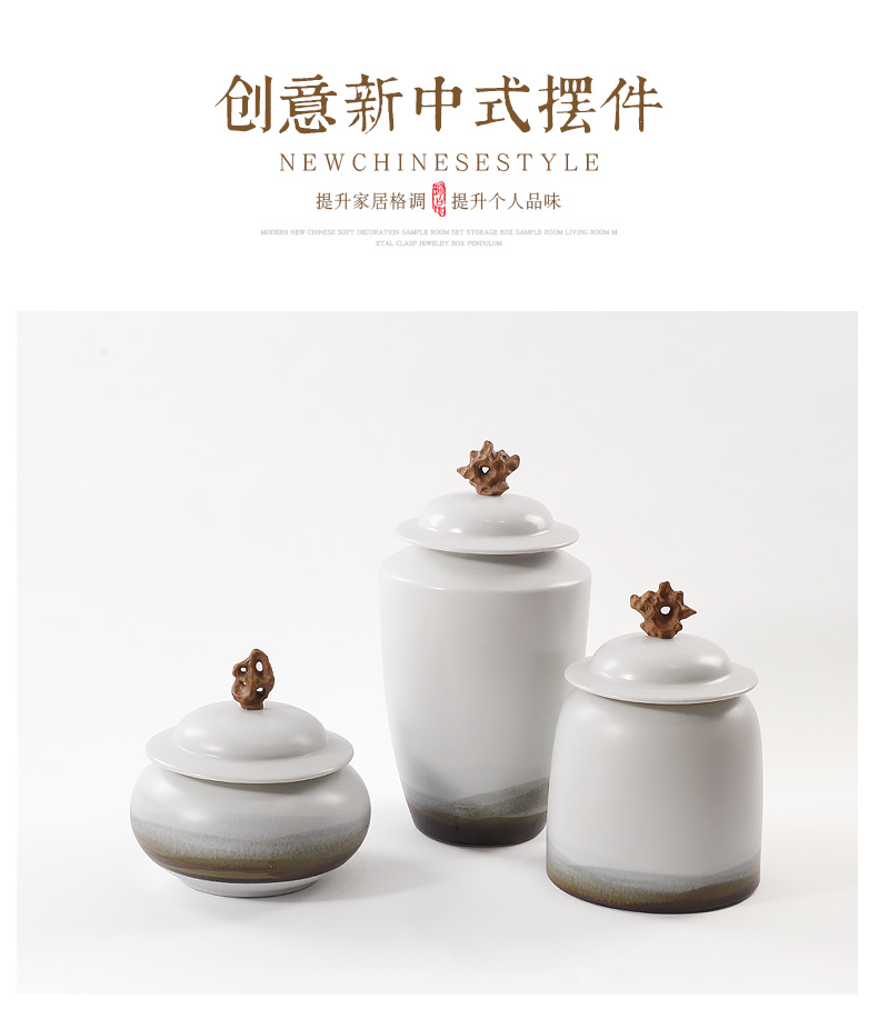 New Chinese style is contracted plain coloured pottery and porcelain of the storage tank is placed between example floor office bookcase soft decoration