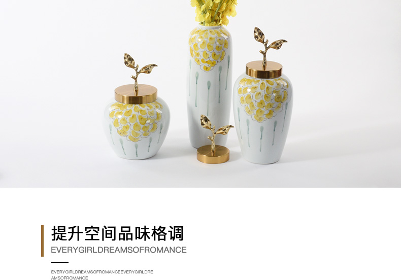 Creative flower arranging ceramic vase furnishing articles Europe type TV ark, sitting room porch soft adornment sample room storage tank