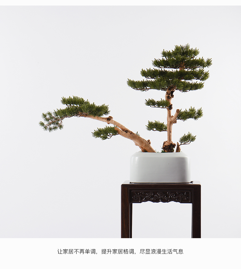 Modern Chinese style white ceramic vase simulation soft adornment guest - the greeting pine bonsai furnishing articles the hotel floor lobby