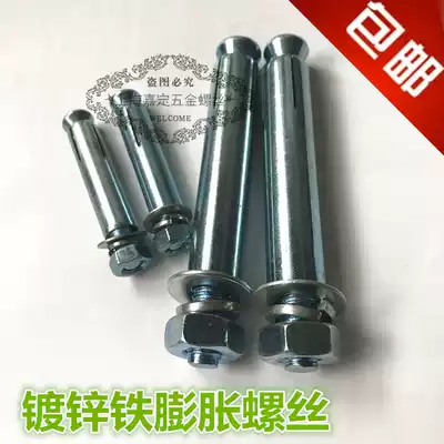 Special price galvanized lengthened metal outer expansion screw Iron expansion screw 6mm 8mm 10mm
