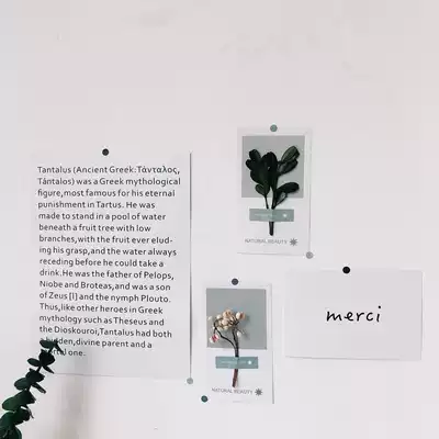 chic Korean style small fresh dried flower card ins room dormitory simple decoration wall decoration paper English letter card