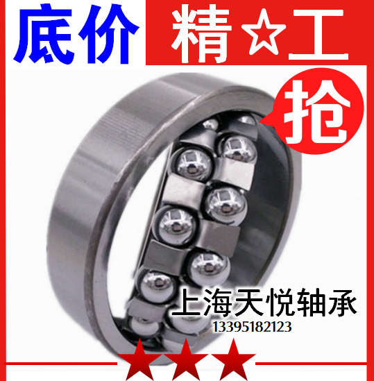 Double row self-aligning ball bearings 1200 1201 1202 1203 1204 1205 1206 1207 1208