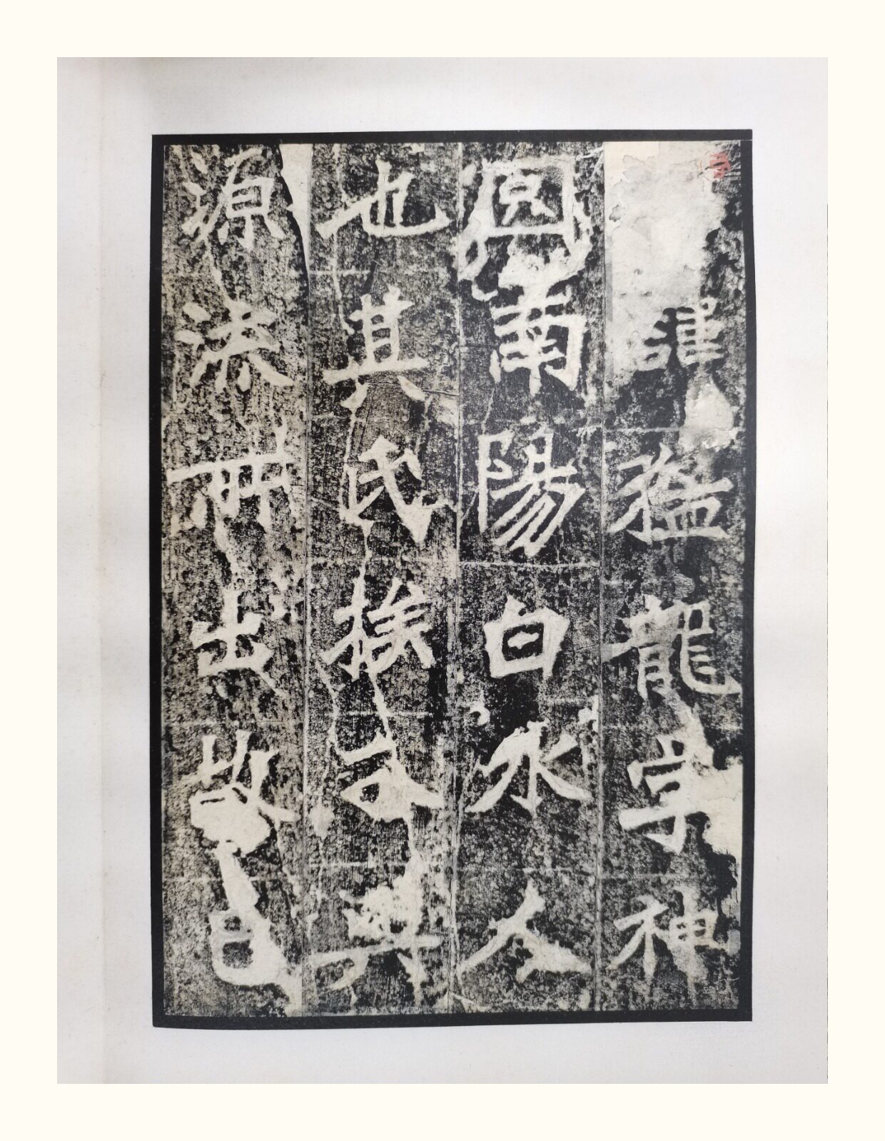 Каллиграфия, печать резки (новый) 明拓张猛龙碑 启功旧藏明末蝉翼精拓本 文物出版社