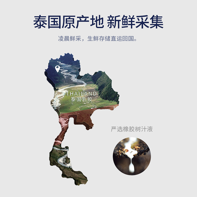 央视推荐品牌 佳奥 泰国乳胶枕 大颗粒按摩枕 图1