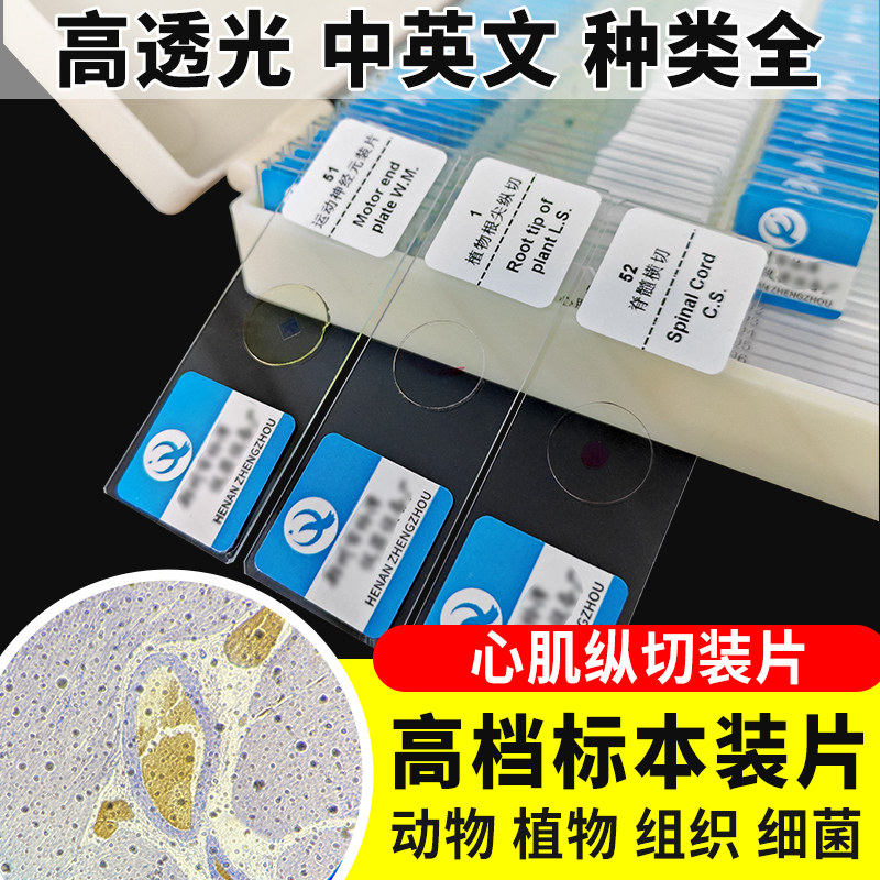 心肌纵切装片切片生物切片涂片小学初中高中生物科学实验切片显微镜观察玻片装片