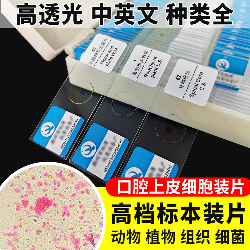 口腔上皮细胞装片生物切片涂片小学初中高中生物科学实验切片显微镜观察玻片装片