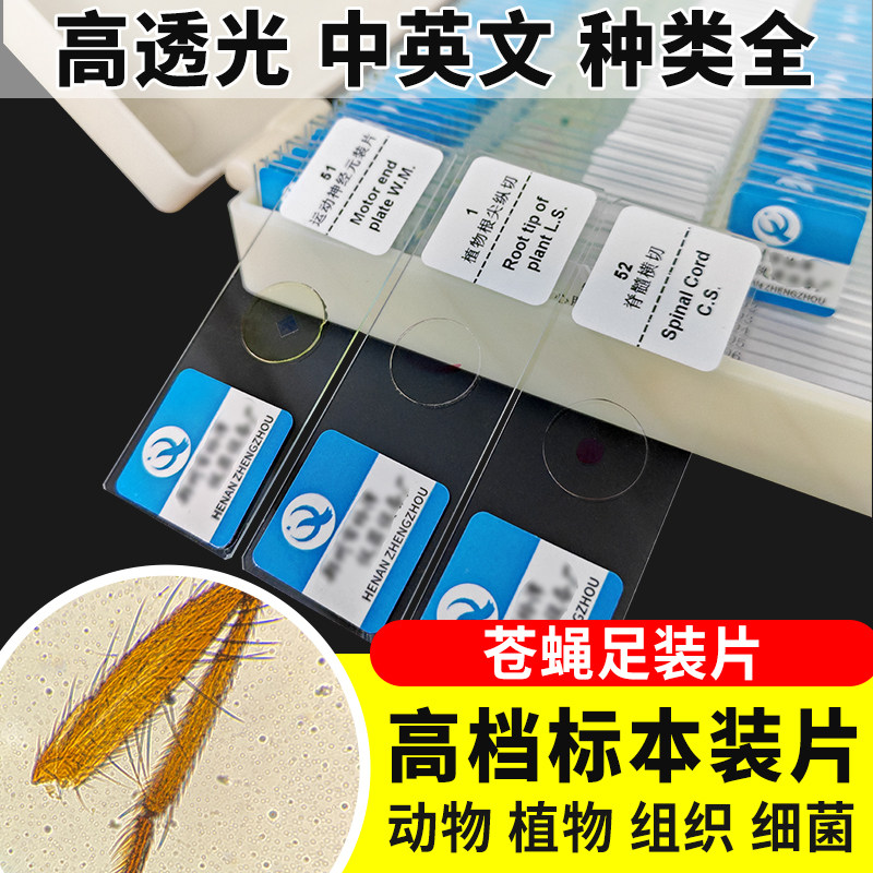 苍蝇足装片切片生物切片涂片小学初中高中生物科学实验切片显微镜观察玻片装片