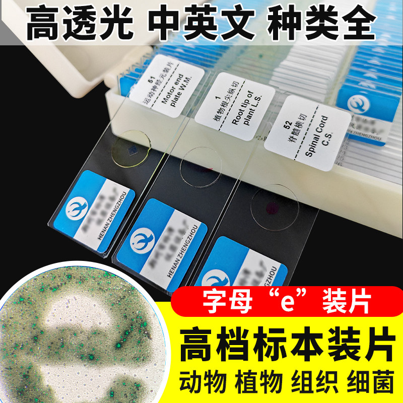 字母e装片切片生物切片涂片小学初中高中生物科学实验切片显微镜观察玻片装片