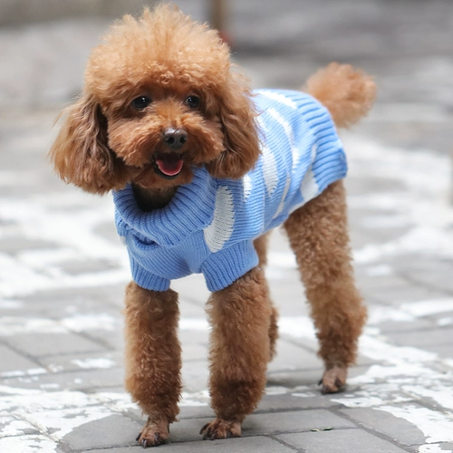 Одежда для щенков осенью и зимой Тедди Белки Корки Медвежь