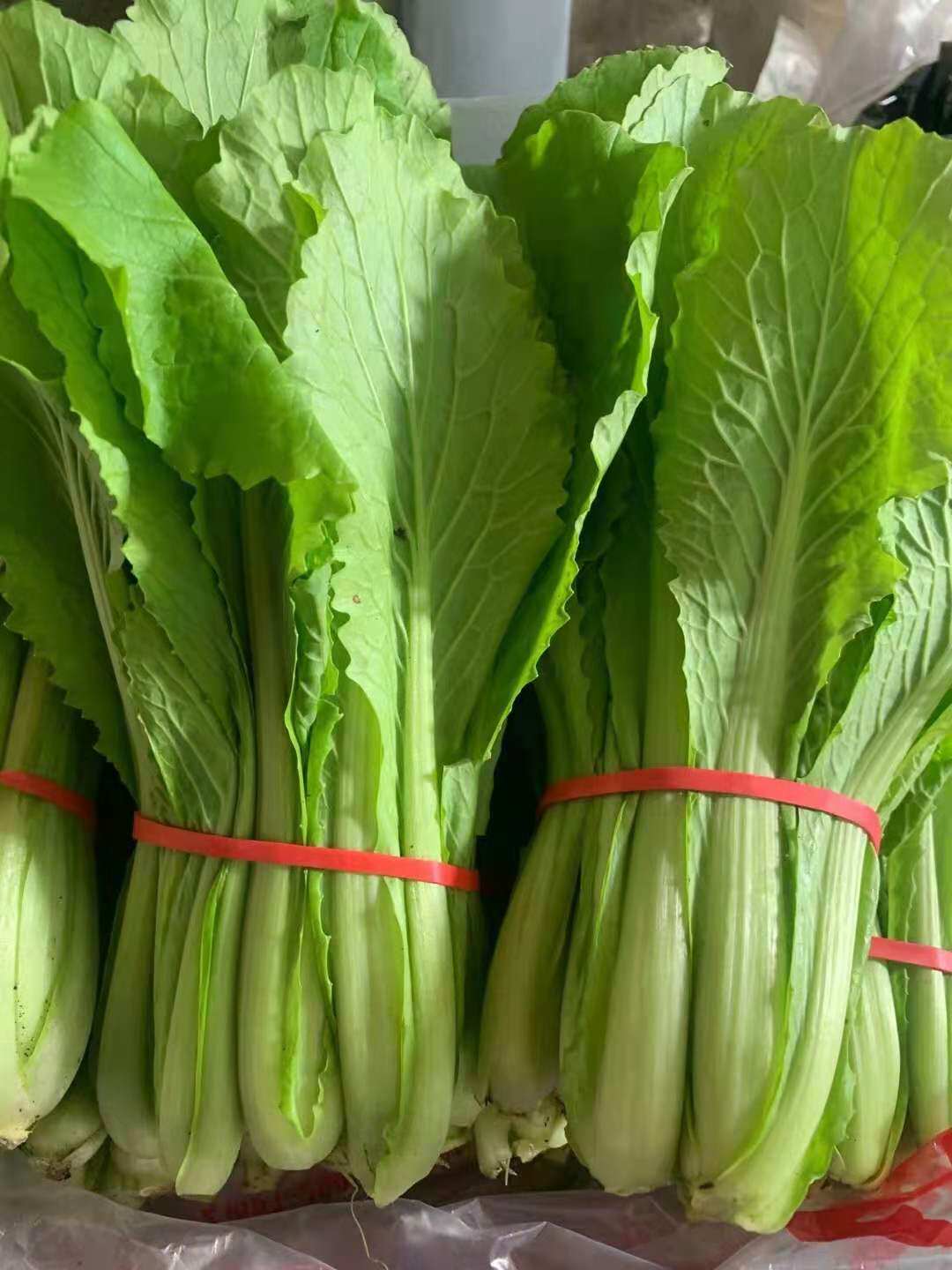 Fresh small cabbage hot pot ingredients 500g Beijing-Tianjin-Hebei full 68 Shunfeng-Taobao