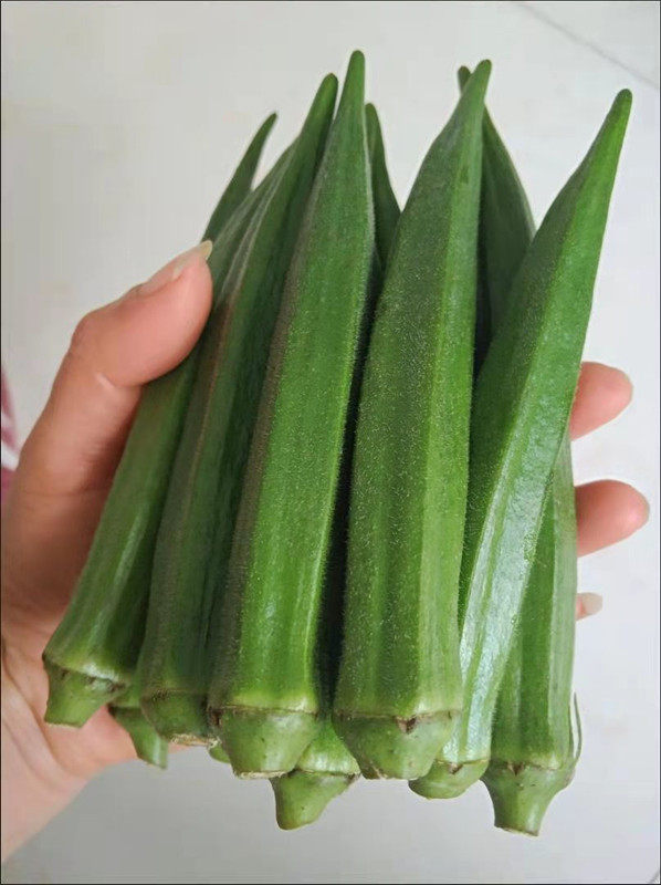 Fresh autumn sunflower 500g fresh vegetables Beijing-Tianjin-Hebei 68 Shunfeng-Taobao