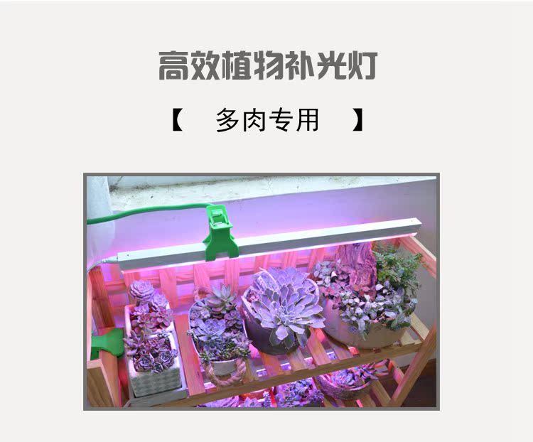 Led植物生长灯补光灯多肉植物大棚室内植物花卉红蓝光合作用灯 今日特惠 植物 光合作用 大棚 花卉 植物生长途虎网 Led植物生长灯补光灯多肉植物大棚室内植物花卉红蓝光合作用灯 今日特惠 植物 光合作用 大棚 花卉 植物生长途虎网