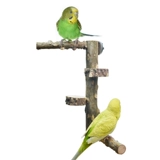 Попугающий перец