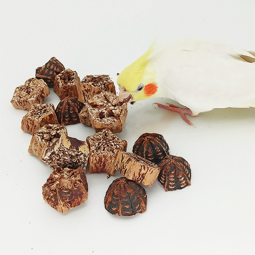 Кафе желе сухой, он приказал попугаю укусить игрушечные фрукты и кусочки фруктов DIY птицы, чтобы найти пищевые материалы