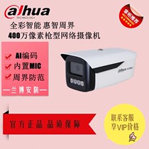 Dahua 400W Double Light Full-color Audio Network Camera DH-IPC-HFW2433M-A-IL2-V4 Spot