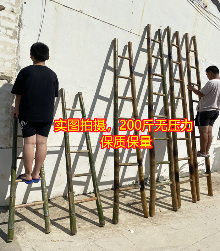 Bamboo Ladder Bamboo Ladder Straight Ladder 2 m 3 m 4 m 4 m Engineering Power Straight Ladder Engineering Ladder Kindergarten Bamboo Ladder