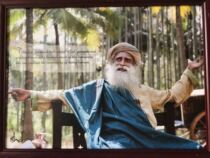 A portrait of Saguru solid wood (330x 440mm)