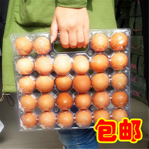 Grass egg packing box egg tray gift box dumb egg box shockproof express disposable plastic 28 handbox