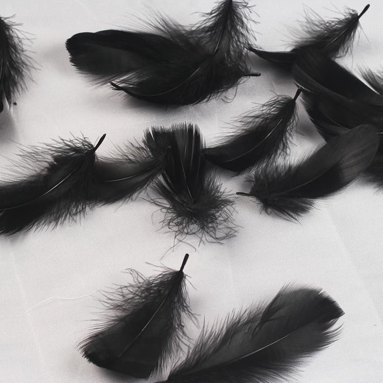 ins Feather Valley Props Black and White Feather Decoration Background Photo Shoot Props Online Photography Cosmetics Photography ins Feather Valley Props Black and White Feather Decoration Background Photo Shoot Props Online Photography Cosmetics Photography
