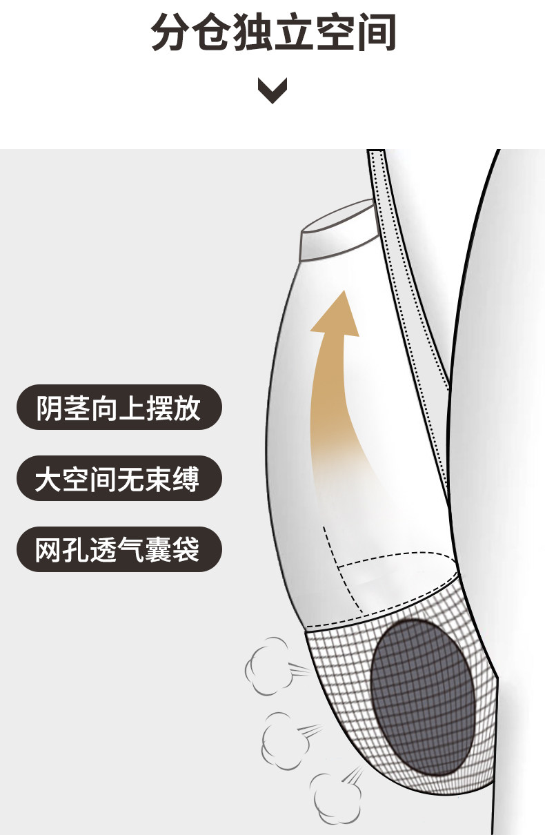 Пуля мошонки поддерживает отделение нижнего белья мужской семенной вены (8).jpg