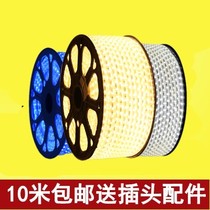 led light with ceiling household living room outdoor waterproof strip colorful color changing Line light 220V patch neon light soft