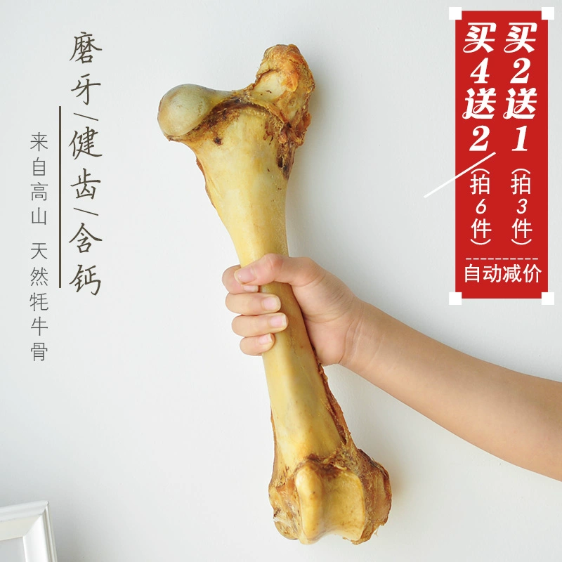 Molar stick dog cow bone dog sạch răng cắn kháng xương lớn thú cưng teddy vàng tha chó - Đồ ăn vặt cho chó