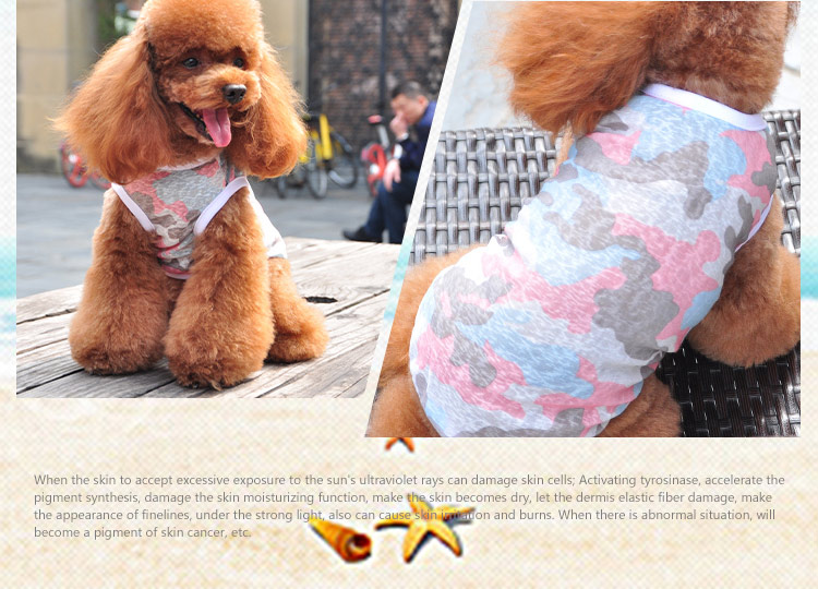 Quần áo chó Teddy quần áo thú cưng mùa xuân mùa hè hơn gấu trúc con chó con chó con quần áo thú cưng mùa xuân và mùa hè vest - Quần áo & phụ kiện thú cưng áo chó con