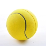 Резиновая игрушка, прыгучий мяч, домашний питомец