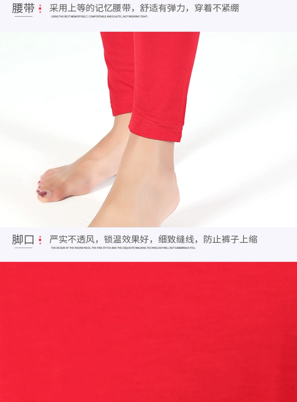Qiuyi Qiuku Phụ nữ phù hợp với phần mỏng Slim modal cổ tròn cơ thể đồ lót nhiệt mùa thu và mùa đông cơ sở áo len cotton