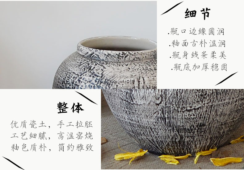 I and contracted jingdezhen ceramic vases, TV ark, decorations sitting room put the dried flower implement mesa home furnishing articles