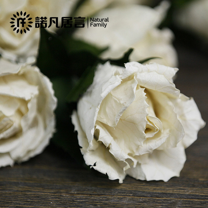 ŵ������װ�λ��ٻ�