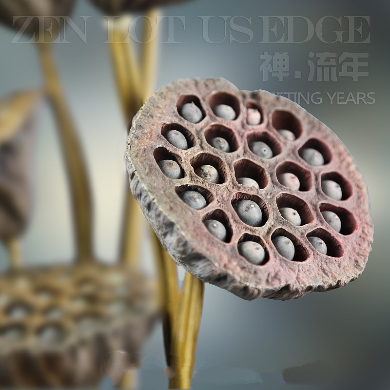 ŵ��������˸�������Ѹɻ�