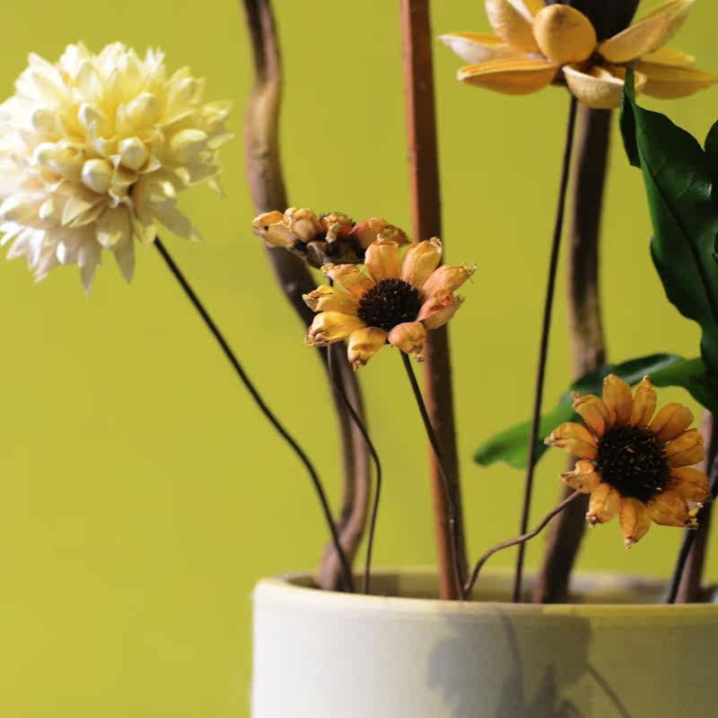 ŵ�����Դ����մ�����ƿ