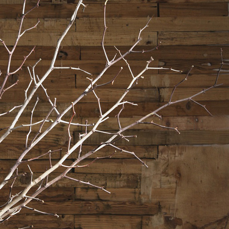 ŵ������֦�ɻ�2016082801