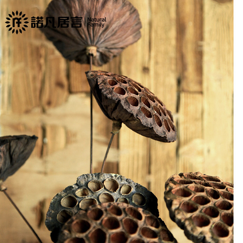 ŵ�����Բ����Ѹ�����