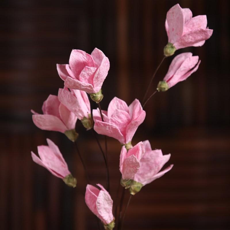 ŵ���������������滨yldz