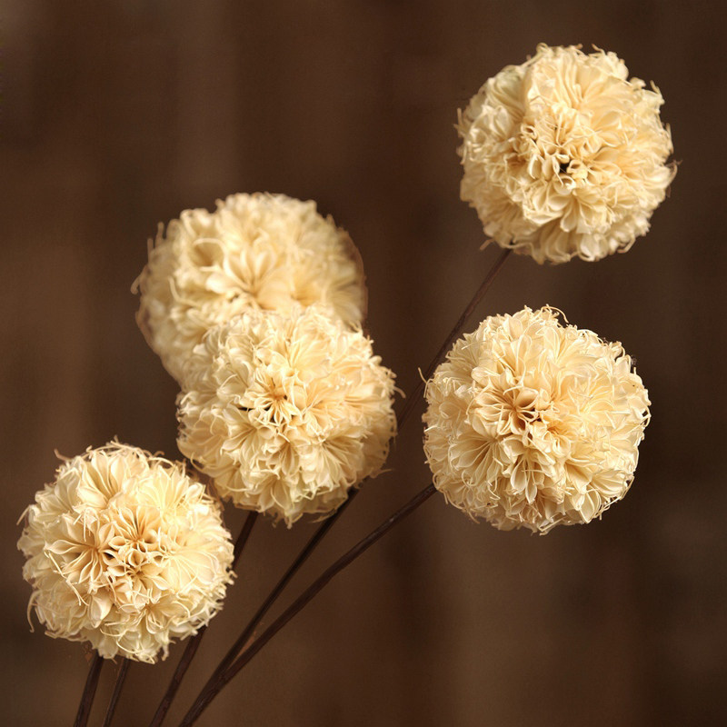 ŵ����������ɻ��滨