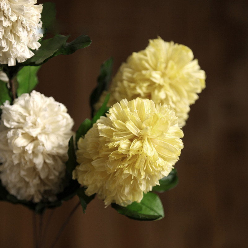 ŵ������������ڼٻ��������