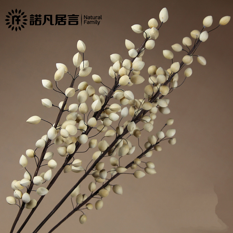 ŵ�����Դ�����ӣ��װ�μٻ�