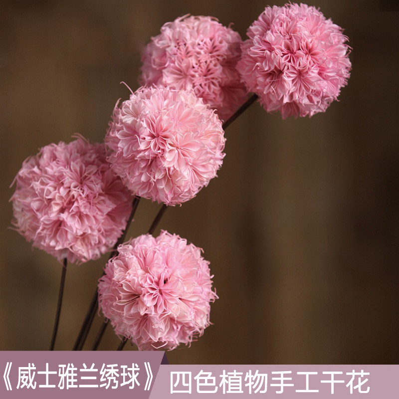 ŵ����������ɻ��滨